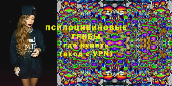 ГАЛЛЮЦИНОГЕННЫЕ ГРИБЫ Абаза