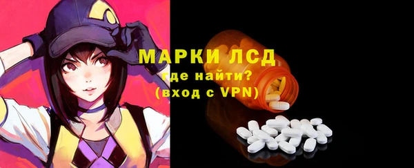 ГАЛЛЮЦИНОГЕННЫЕ ГРИБЫ Абаза