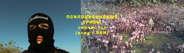 ГАЛЛЮЦИНОГЕННЫЕ ГРИБЫ Абаза