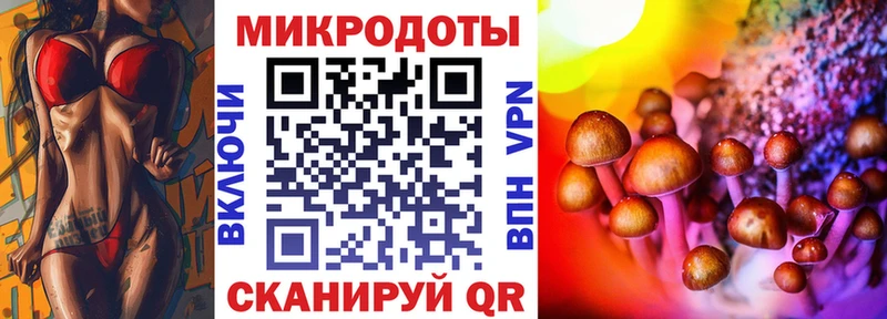 Псилоцибиновые грибы Psilocybine cubensis  Брюховецкая 
